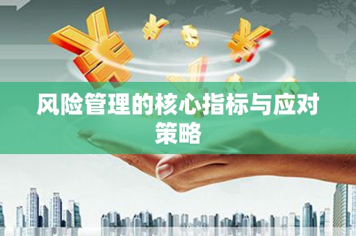务川风险管理的核心指标与应对策略