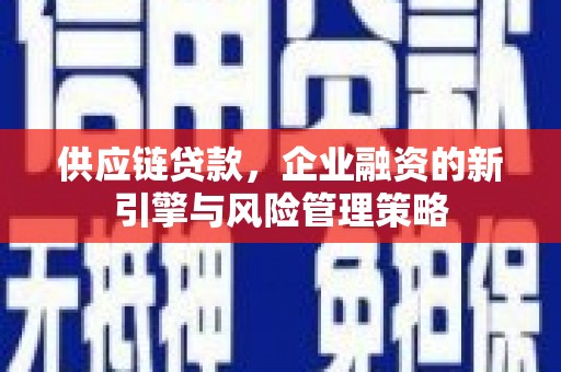 务川供应链贷款，企业融资的新引擎与风险管理策略