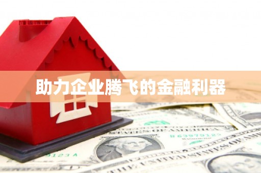 务川助力企业腾飞的金融利器