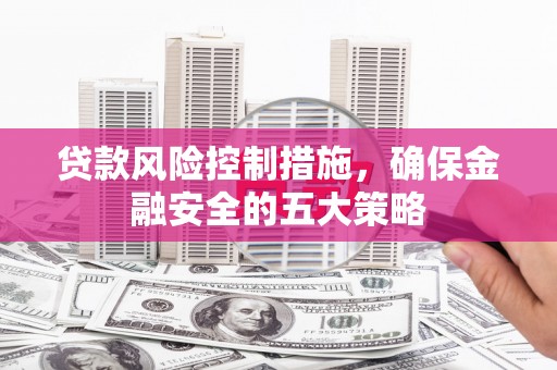 务川贷款风险控制措施，确保金融安全的五大策略