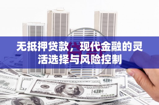 务川无抵押贷款，现代金融的灵活选择与风险控制