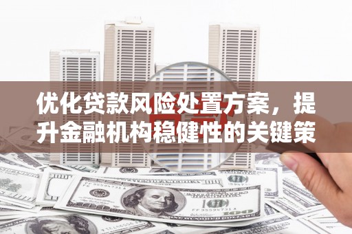 务川优化贷款风险处置方案，提升金融机构稳健性的关键策略