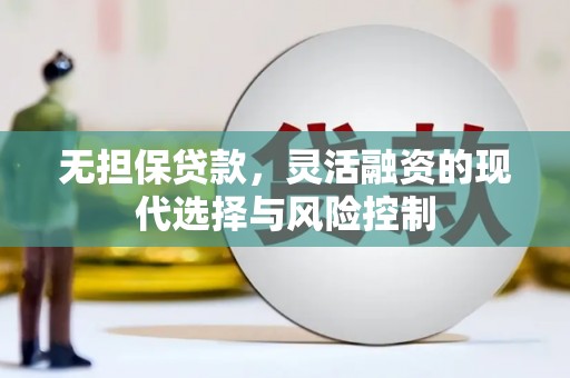 务川无担保贷款，灵活融资的现代选择与风险控制