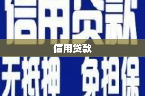 务川信用贷款