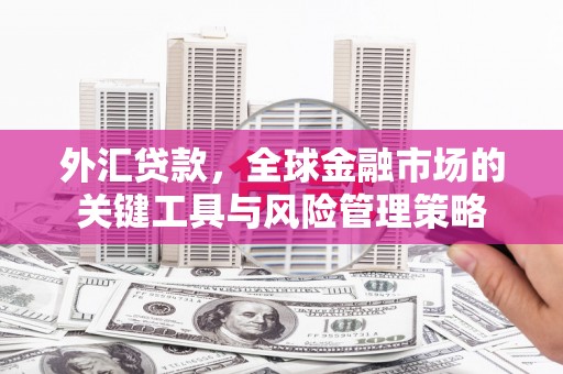 务川外汇贷款，全球金融市场的关键工具与风险管理策略