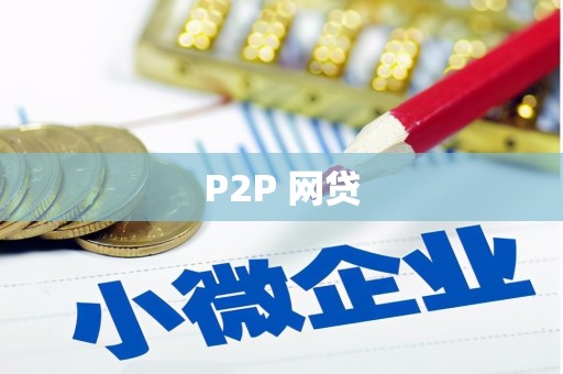 务川P2P 网贷