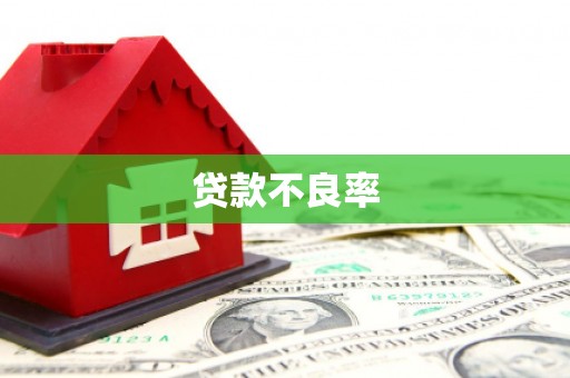 务川贷款不良率