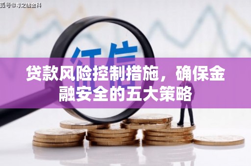 务川贷款风险控制措施，确保金融安全的五大策略