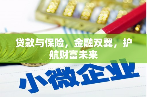 务川贷款与保险，金融双翼，护航财富未来