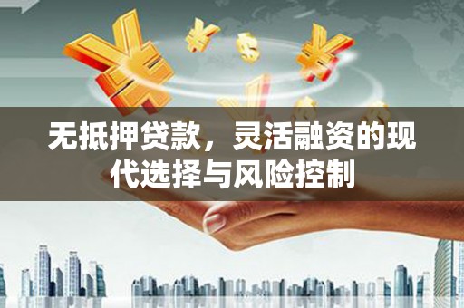 务川无抵押贷款，灵活融资的现代选择与风险控制