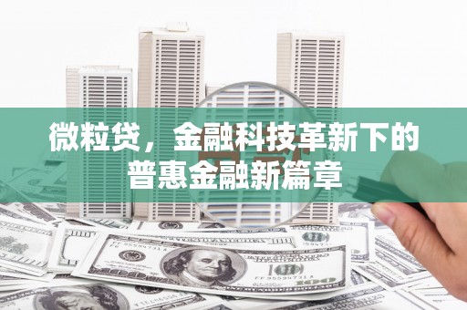 务川微粒贷，金融科技革新下的普惠金融新篇章