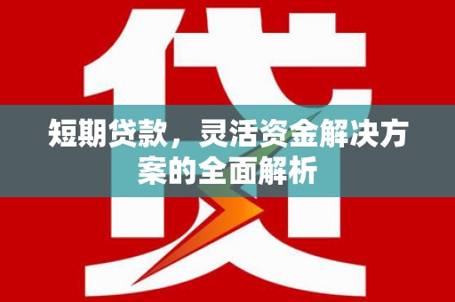 务川短期贷款，灵活资金解决方案的全面解析