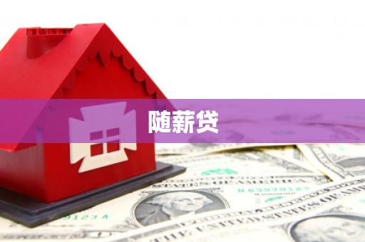务川随薪贷
