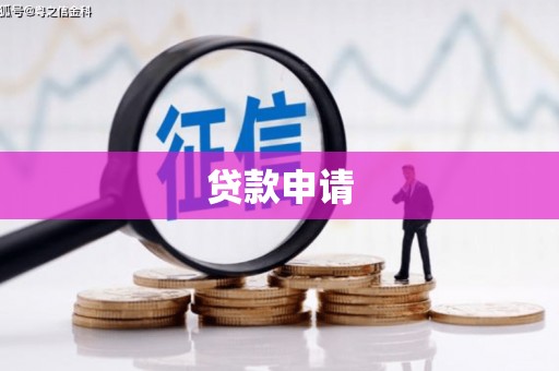 务川贷款申请