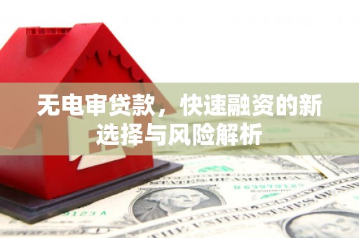 务川无电审贷款，快速融资的新选择与风险解析