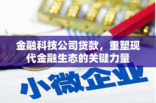 务川金融科技公司贷款，重塑现代金融生态的关键力量