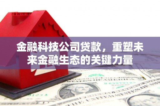 务川金融科技公司贷款，重塑未来金融生态的关键力量