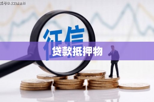 务川贷款抵押物