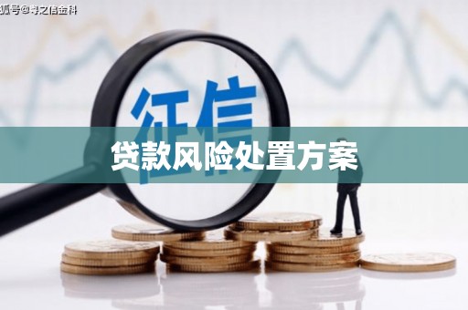 务川贷款风险处置方案