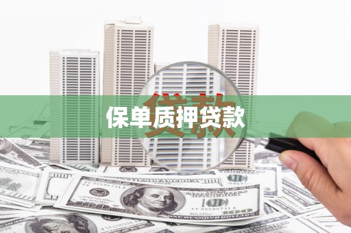 务川保单质押贷款