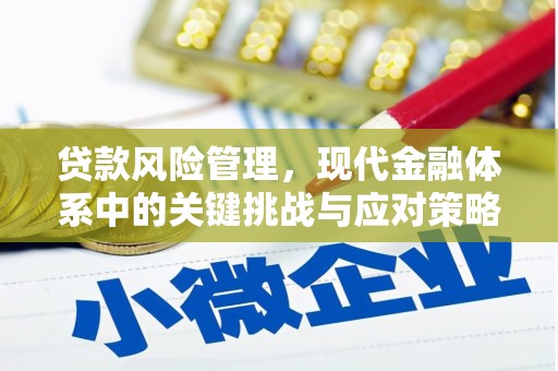务川贷款风险管理，现代金融体系中的关键挑战与应对策略