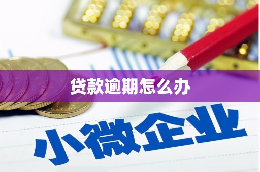 务川贷款逾期怎么办