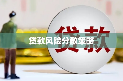 务川贷款风险分散策略
