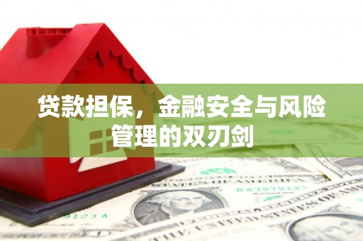 务川贷款担保，金融安全与风险管理的双刃剑