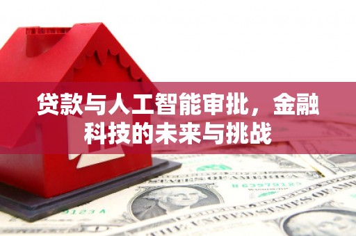 务川贷款与人工智能审批，金融科技的未来与挑战