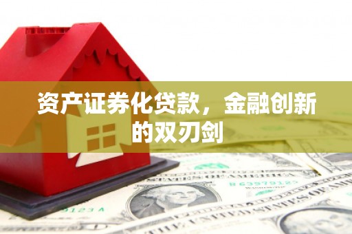 务川资产证券化贷款，金融创新的双刃剑