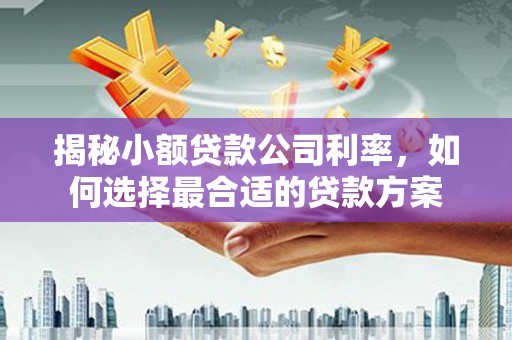 务川揭秘小额贷款公司利率，如何选择最合适的贷款方案