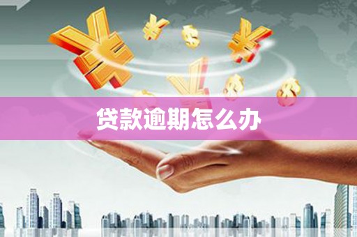务川贷款逾期怎么办
