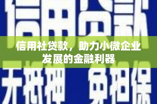 务川信用社贷款，助力小微企业发展的金融利器