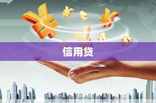 务川信用贷