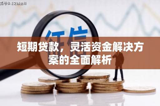 务川短期贷款，灵活资金解决方案的全面解析