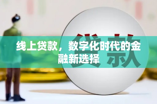 务川线上贷款，数字化时代的金融新选择