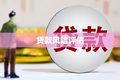 务川贷款风险评估