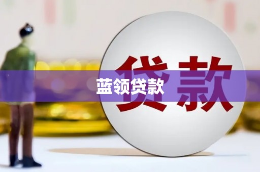 务川蓝领贷款