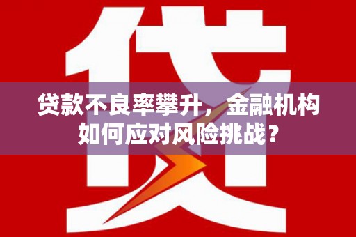 务川贷款不良率攀升，金融机构如何应对风险挑战？