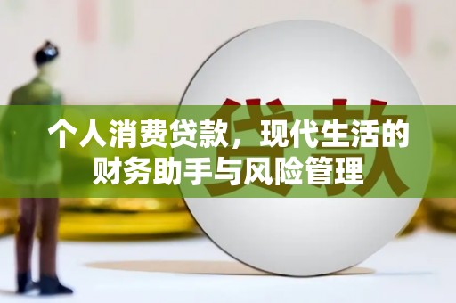 务川个人消费贷款，现代生活的财务助手与风险管理
