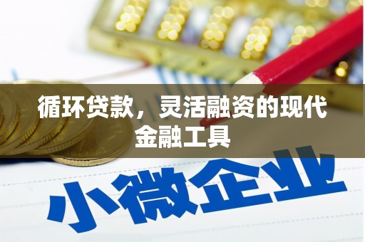 务川循环贷款，灵活融资的现代金融工具
