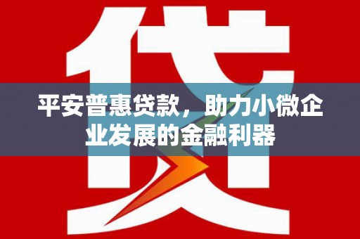 务川平安普惠贷款，助力小微企业发展的金融利器