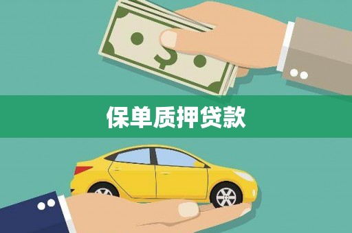 务川保单质押贷款