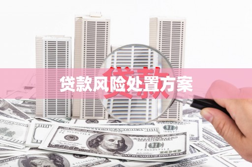务川贷款风险处置方案