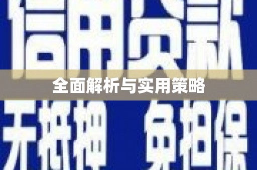 务川全面解析与实用策略