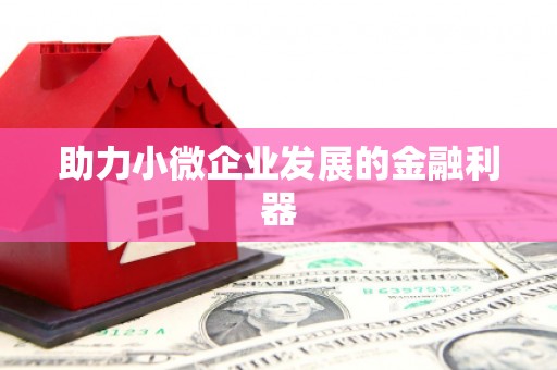 务川助力小微企业发展的金融利器
