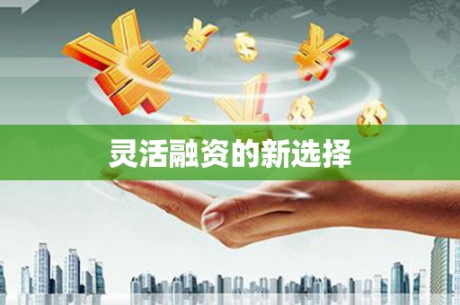 务川灵活融资的新选择
