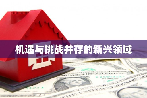 务川机遇与挑战并存的新兴领域