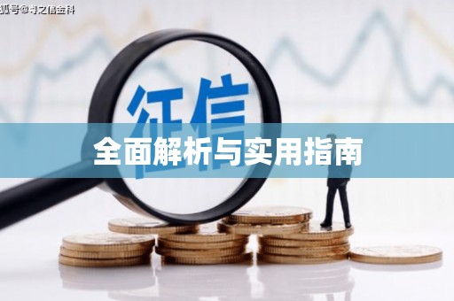务川全面解析与实用指南