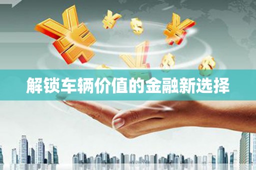务川解锁车辆价值的金融新选择